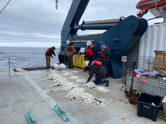 Featured image for “Aleutian slope Long Line is in and all SQUIDs deployed!”